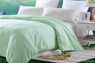 蠶絲被的清洗與選購指南 知名品牌與家紡知識(shí)